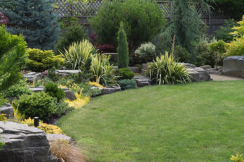 Feature image of post What Do Building Surveys Look at in the Garden?