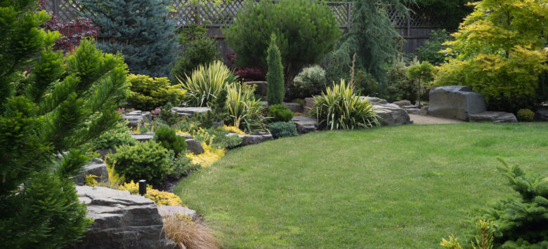 Feature image of What Do Building Surveys Look at in the Garden?