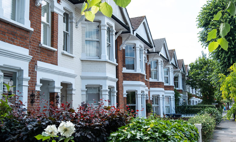 Feature image of What Survey Do I Need for a Terrace House?