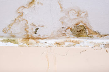 Feature image of post What to Do if You Have a Leaking Roof